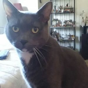 Meet your Posher, Kelly